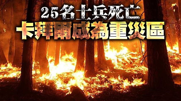 阿爾及利亞爆發野火 已造成42人喪生