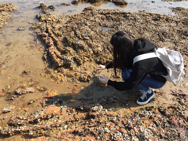 港大生態學家憂慮氣候和金屬污染將影響生物多樣性