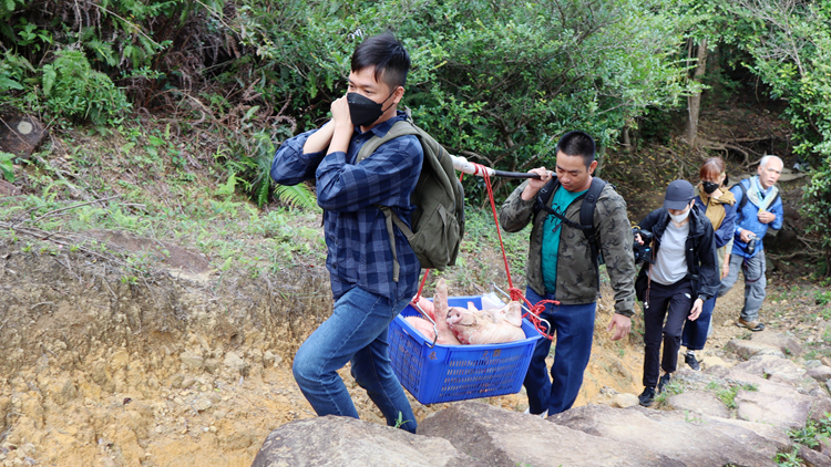 屏山鄧族蓮花山食山頭保傳統