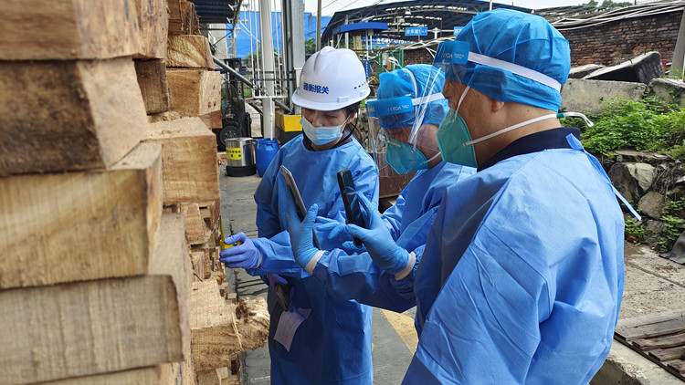 廣東口岸首次截獲緬鼠和德式柔毛鼠