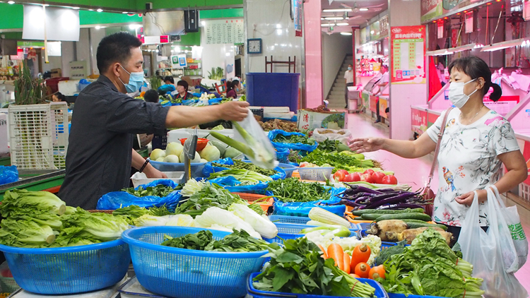 8日內地供港蔬菜逾2500公噸 鮮活食品供應充足穩定