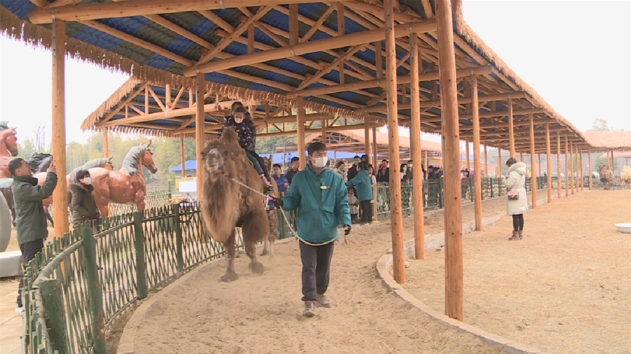 湖南常德同發野生動物世界迎來客流小高峰