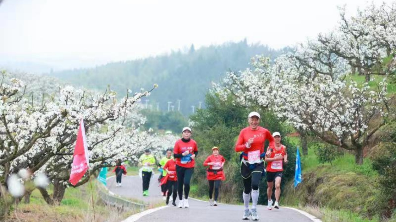 桃梨有約·暢跑花海——福建建寧縣舉辦第七屆花海跑暨越野馬拉松賽