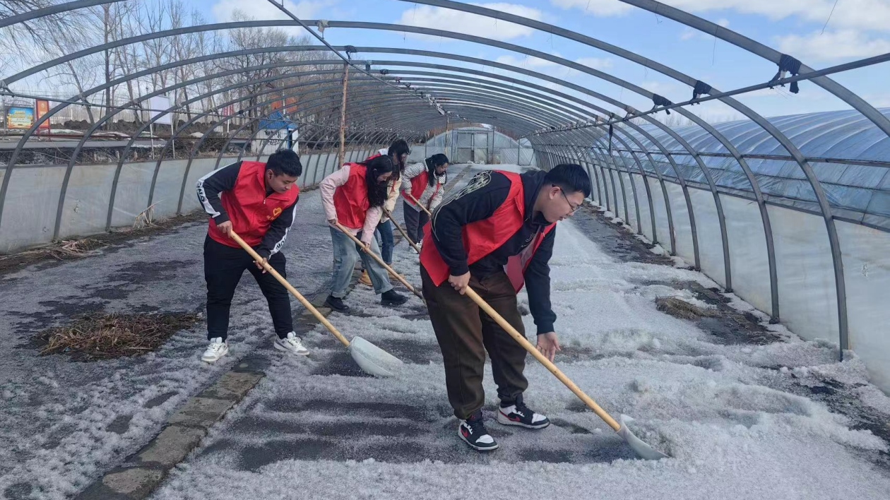 黑龍江寶清：黨建聯盟聚合力 鄉村振興添動力