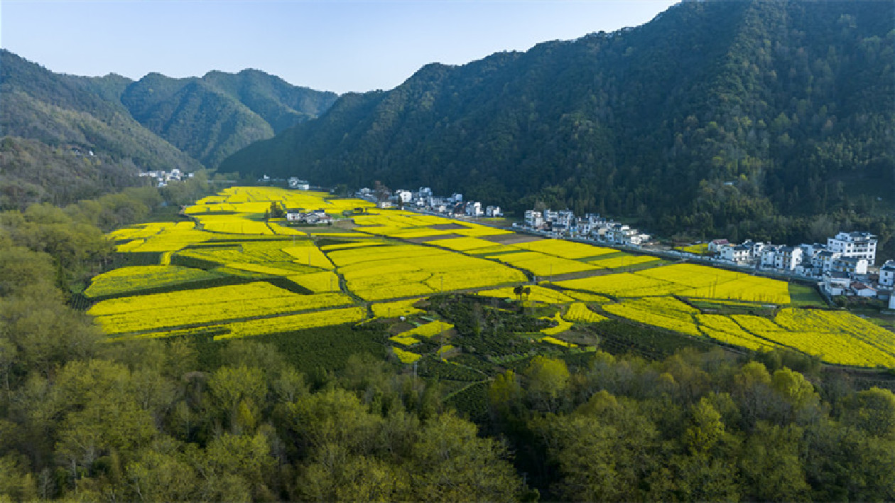 皖黟縣：「紅綠融合」賦能美溪振興