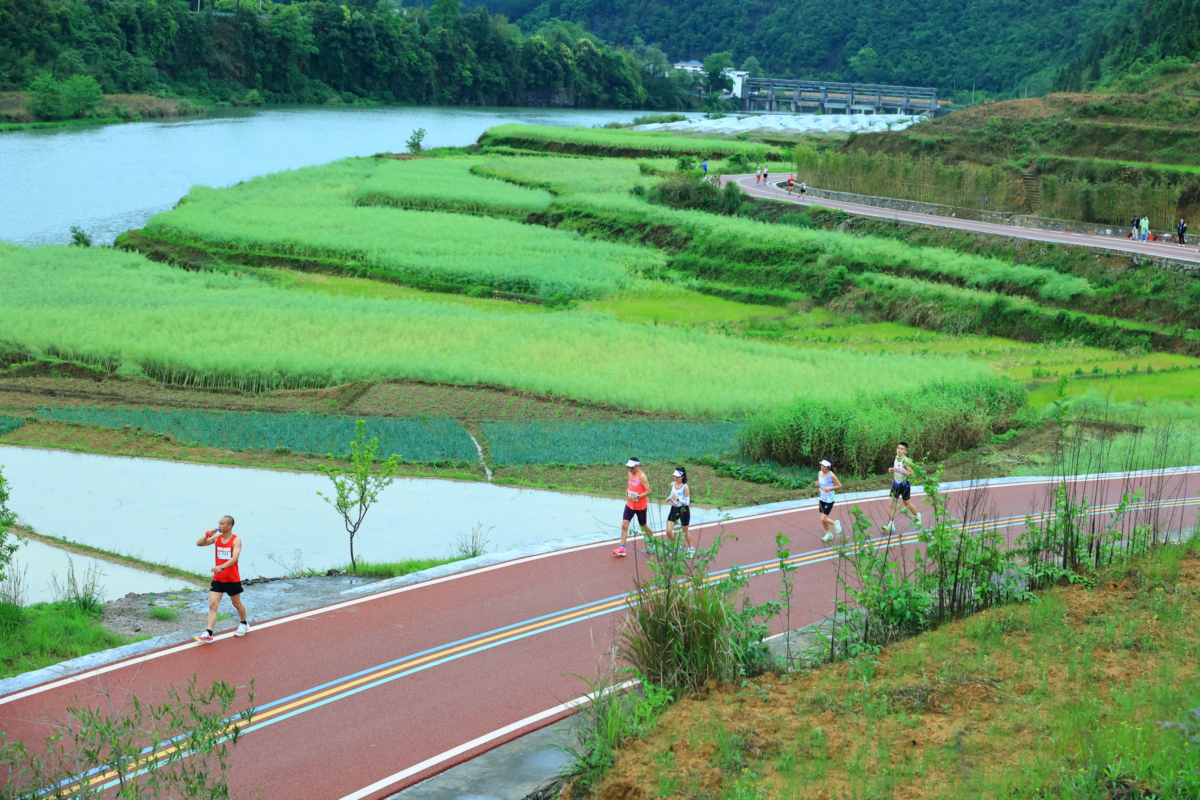 穿越梵淨山智慧賽道 感受百里錦江「最美風景」——2023貴州銅仁·梵淨山馬拉松賽激情開跑