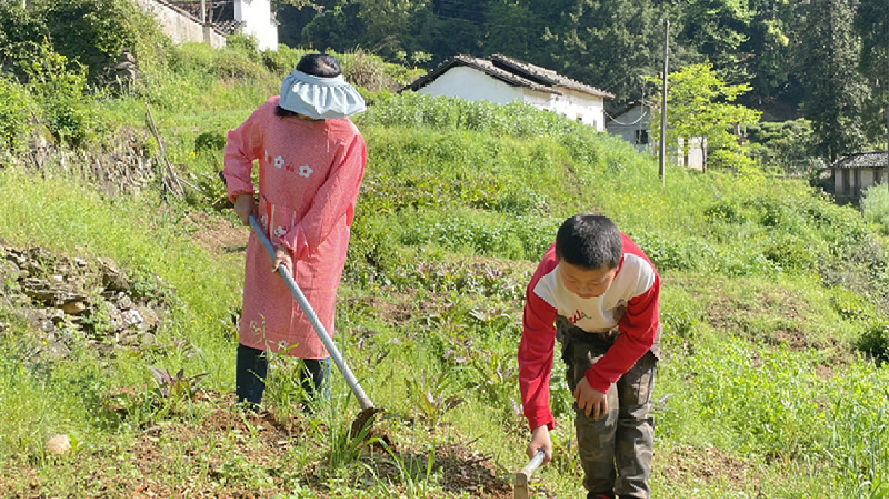 皖黟縣洪星鄉：「特殊作業單」成就「小能手」