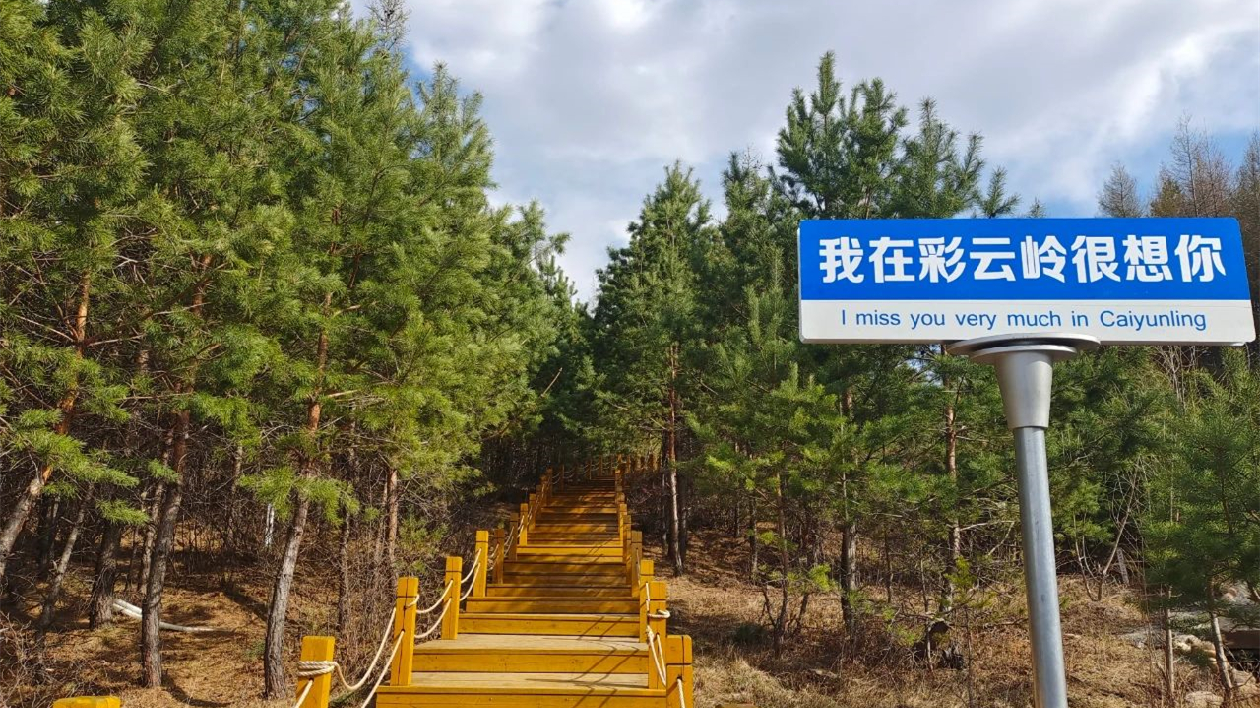 打卡黑龍江寶清縣彩雲嶺  赴約映山紅