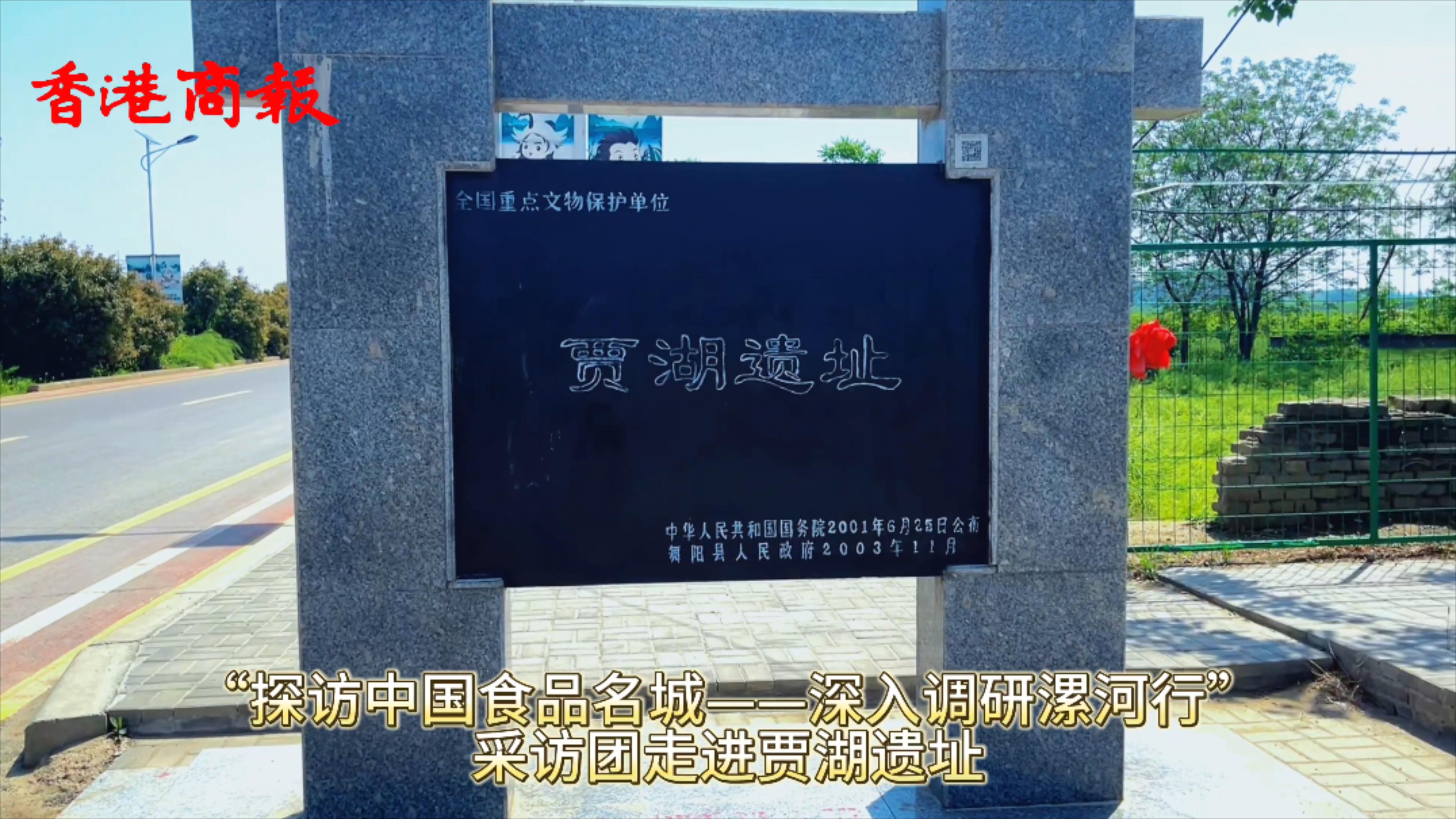 賈湖遺址第九次考古發掘將於今年9月開始進行