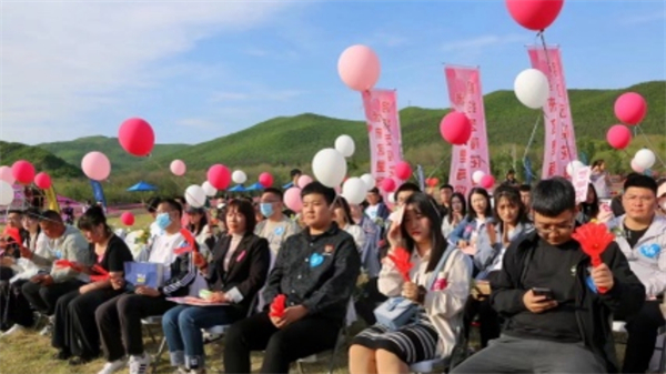 黑龍江寶清：相約芝櫻花海 邂逅浪漫情緣