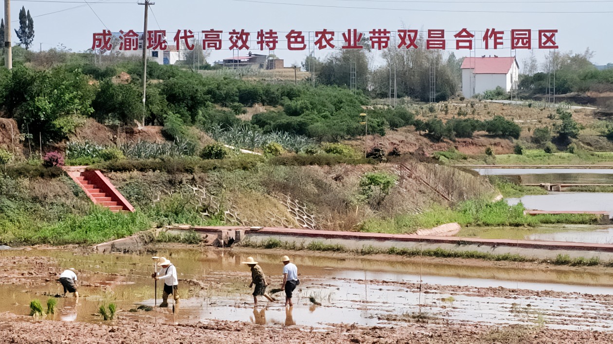 重慶榮昌與四川隆昌跨省合作亮點多