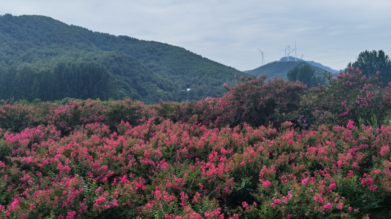 河南南召皇后鄉：綠水青山就是金山銀山