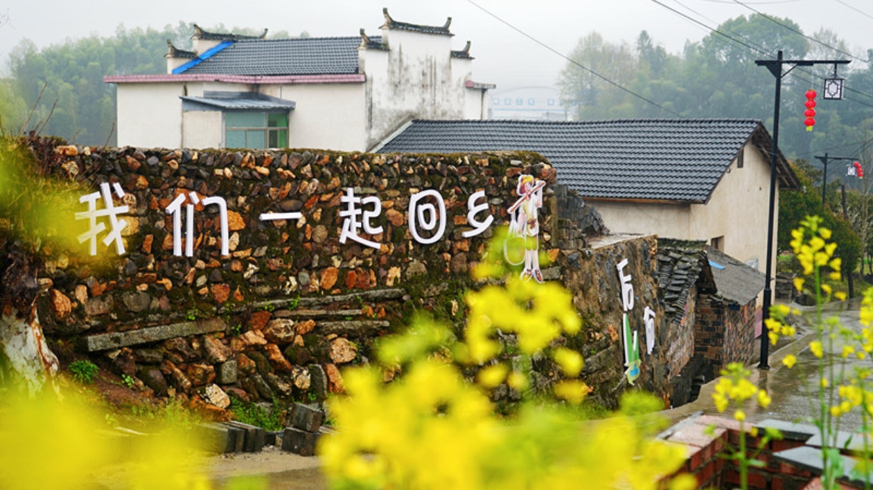 皖黟縣宏村鎮：財政獎補「滴灌」美麗鄉村