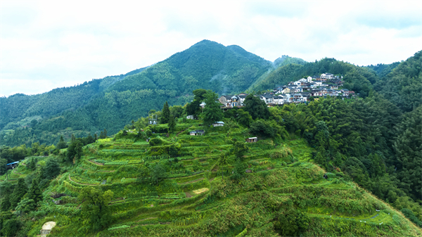 安徽休寧：雲繞山居美如畫