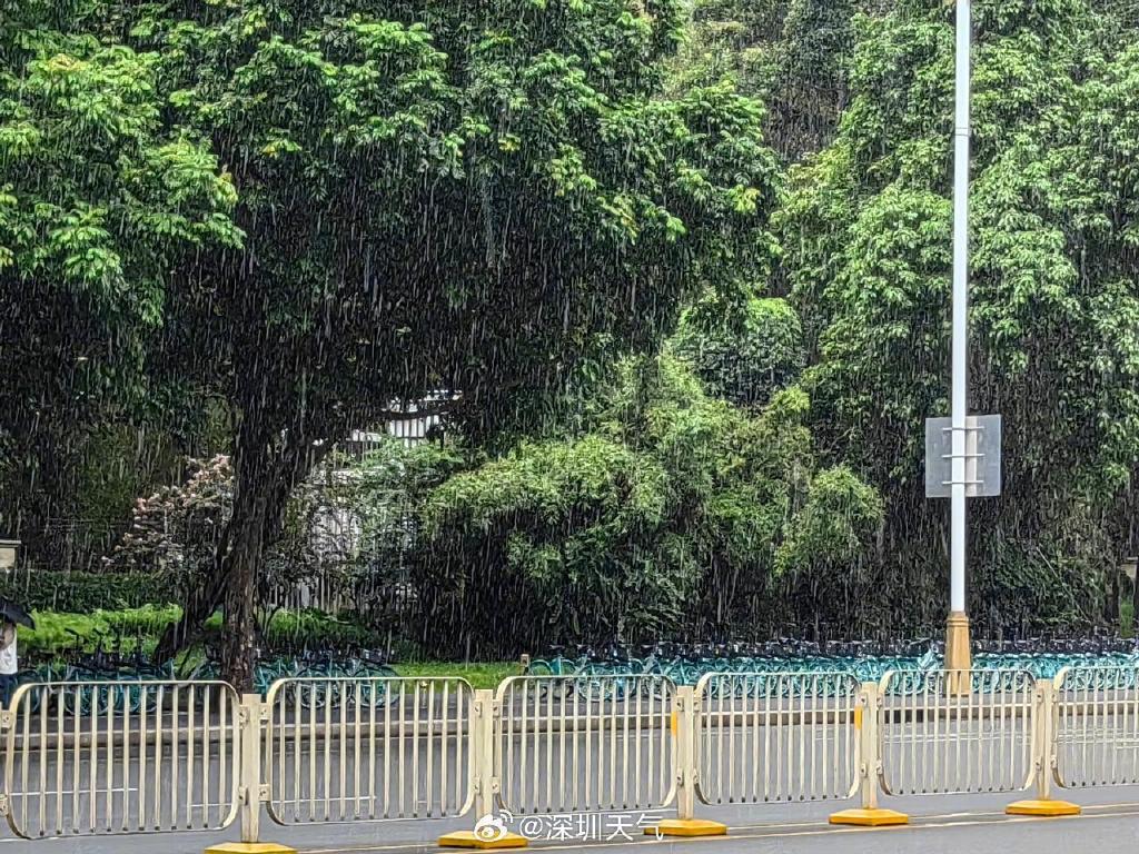 雷電+暴雨雙預警齊發！深圳降溫雨來了