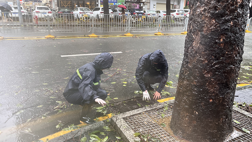 有片｜清理「蘇拉」殘局 深圳社區行動快捷如風