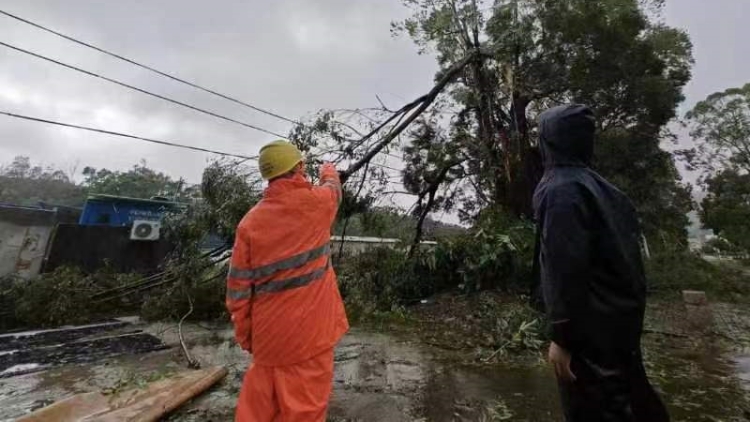 深圳對港供電線路未受「蘇拉」影響