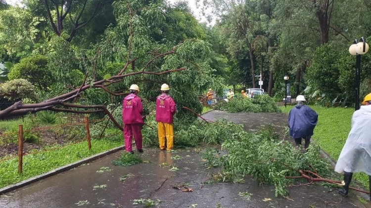 深圳全市公園逐步有序恢復遊園