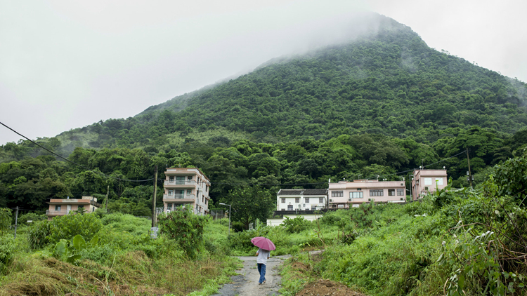 馬鞍山梅子林及大嶼山南岸被列為「受規管地區」 涉及659公頃土地