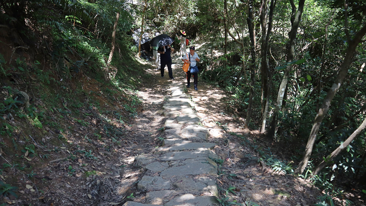 【舊日村跡】走茅坪古道 探半世紀廢村  五十年代村民運豬之路