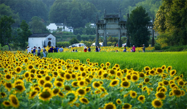 皖徽州區：「雙輪驅動」打造全域旅遊「徽州模式」