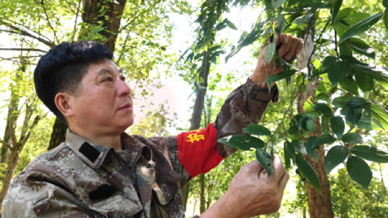 「林長」李發權：葆初心踐使命  守好「三江源頭」