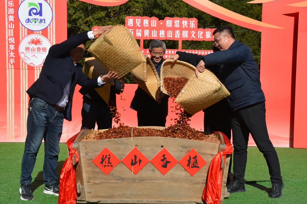 第五屆黃山樵山香榧文化旅遊節成功舉辦