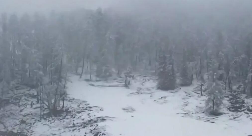 冷空氣發威！北方大部冷暖反轉 華北黃淮將迎今冬首場大範圍降雪