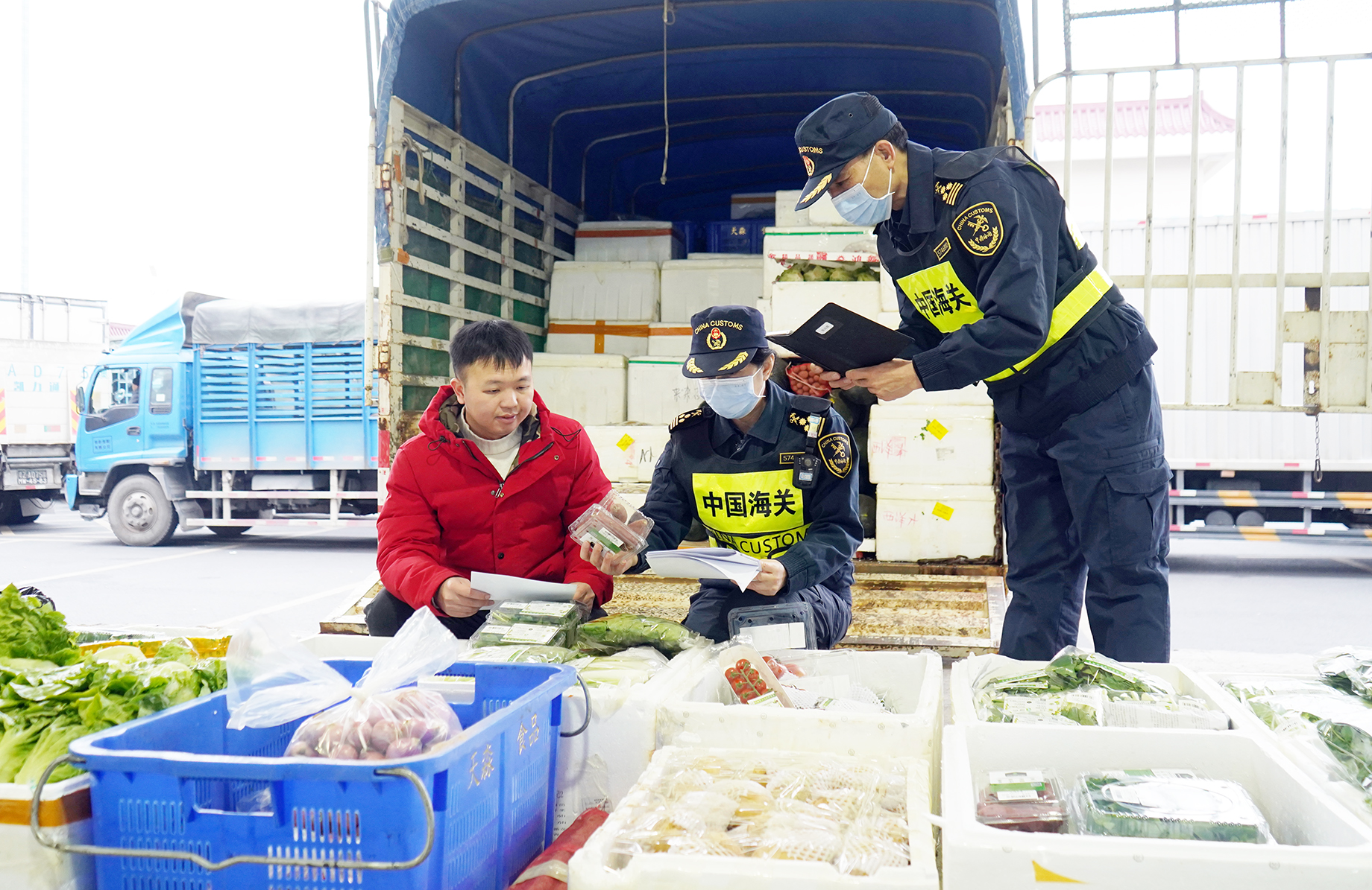 拱北海關去年高效驗放供港澳鮮活農產品19.4萬噸