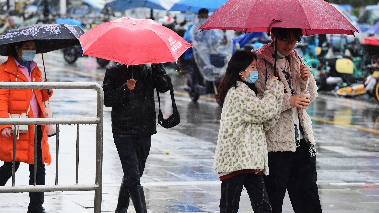 深圳近期多雨霧 節前陰冷天