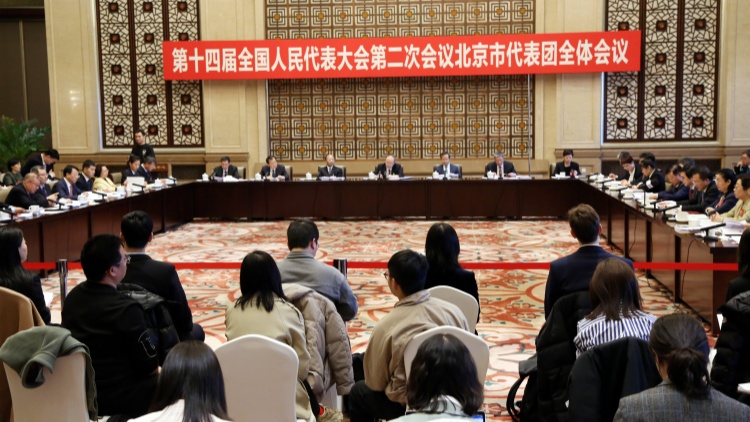 北京代表團接受中外媒體採訪 暢議高質量發展