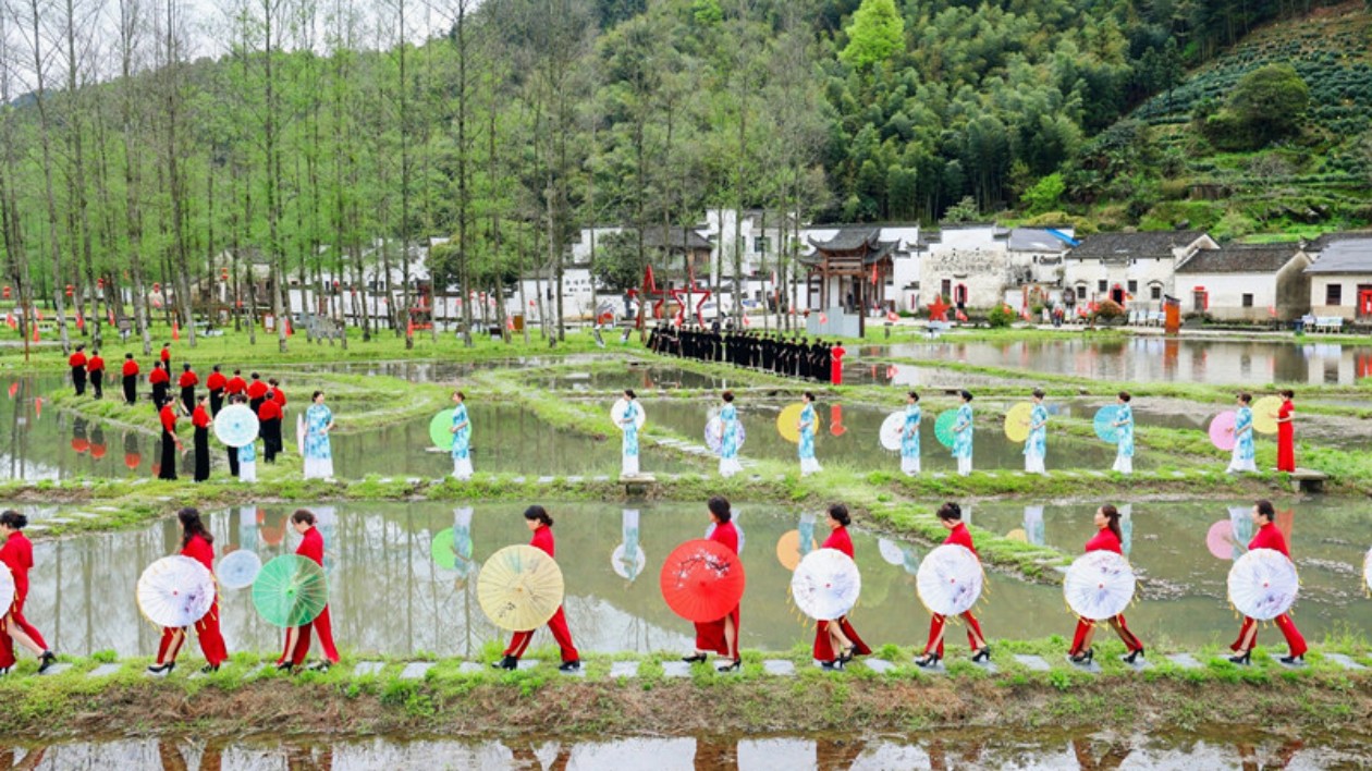 柯村花海羨四方  皖黟縣打響「黟見傾心·康養勝地」品牌