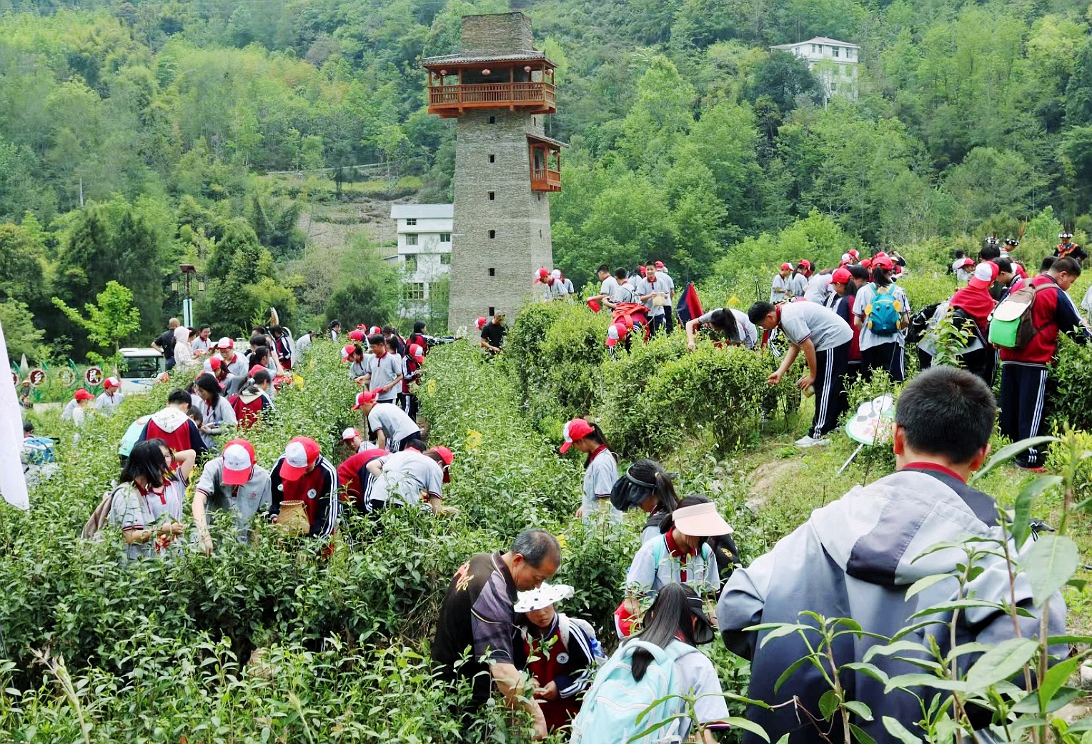 寓教於樂  四川平武開展自然教育研學活動