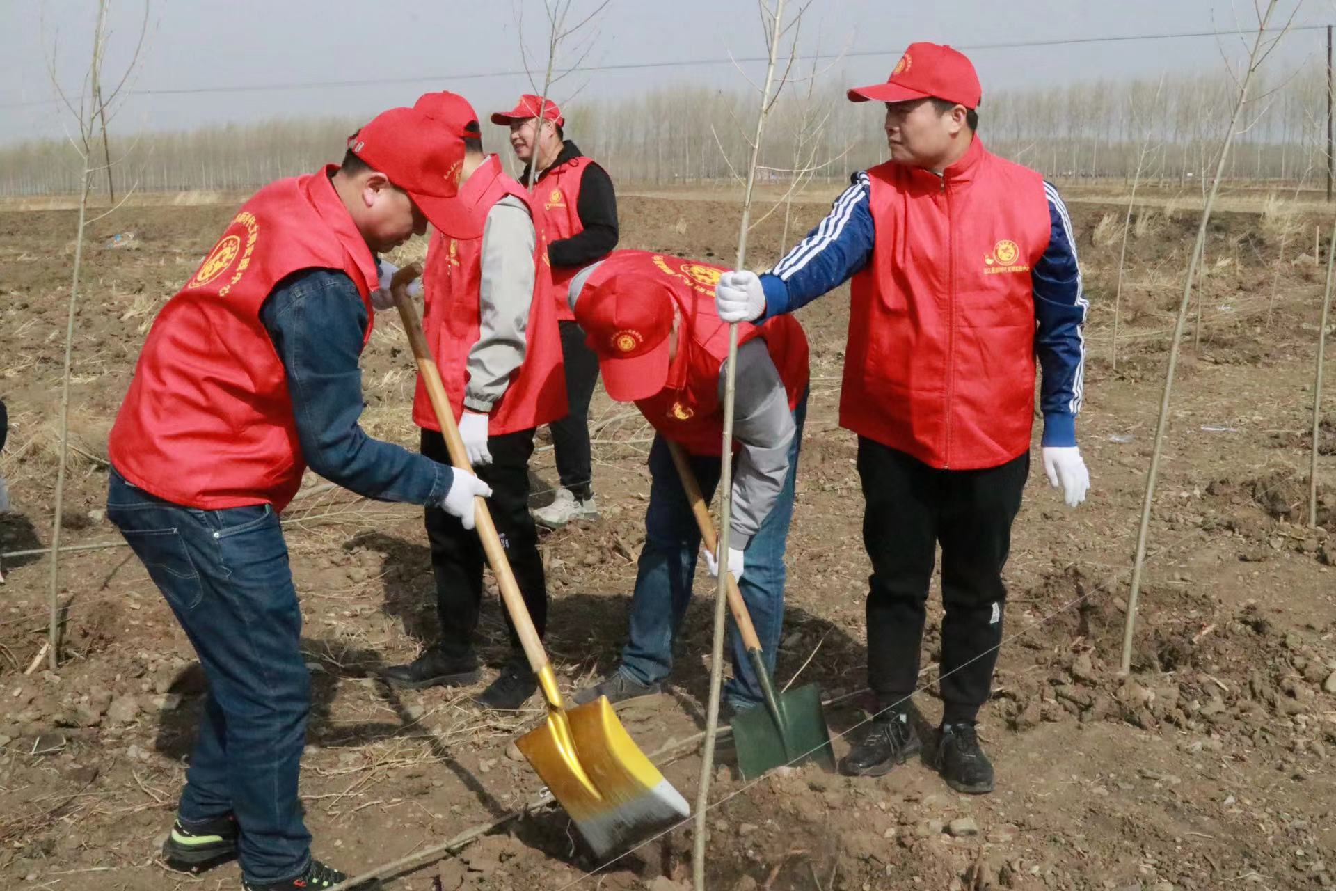 黑龍江龍江縣開展「黨建引領植新綠  攜手共建同心林」主題黨日活動