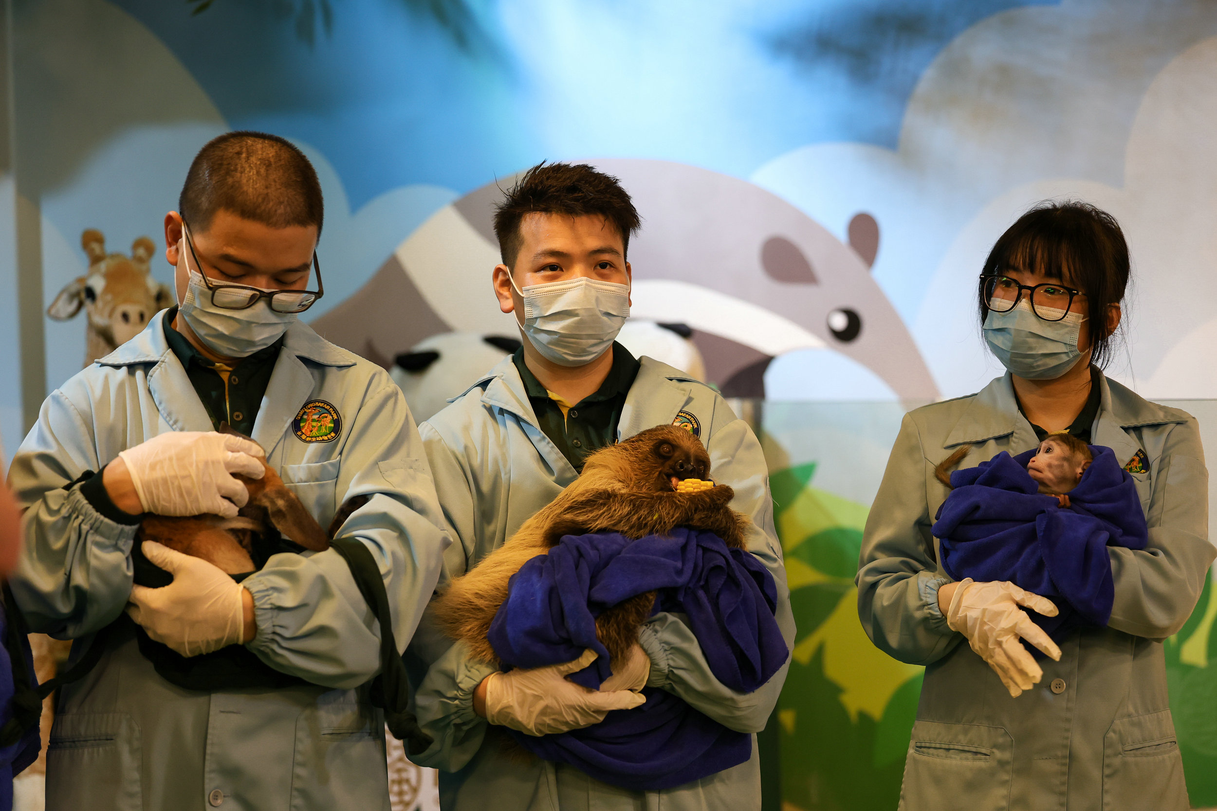 長隆野生動物世界全新動物幼兒園開園 動物萌寶齊亮相