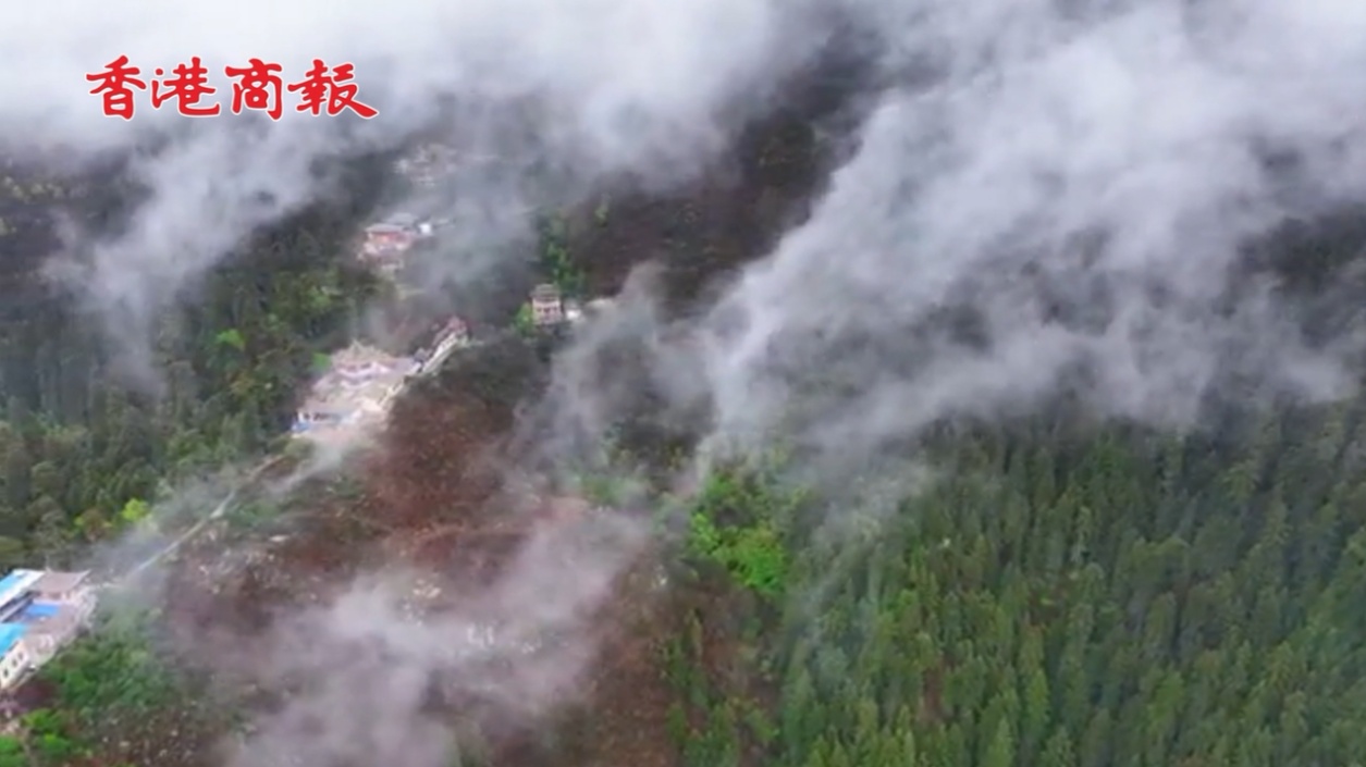 有片丨雨後隆山 雲海壯闊若仙境