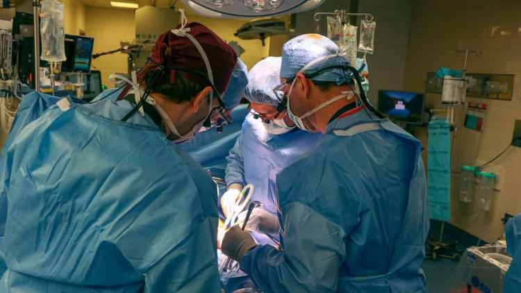 全球首名接受基因改造豬腎移植男子 手術後六周離世