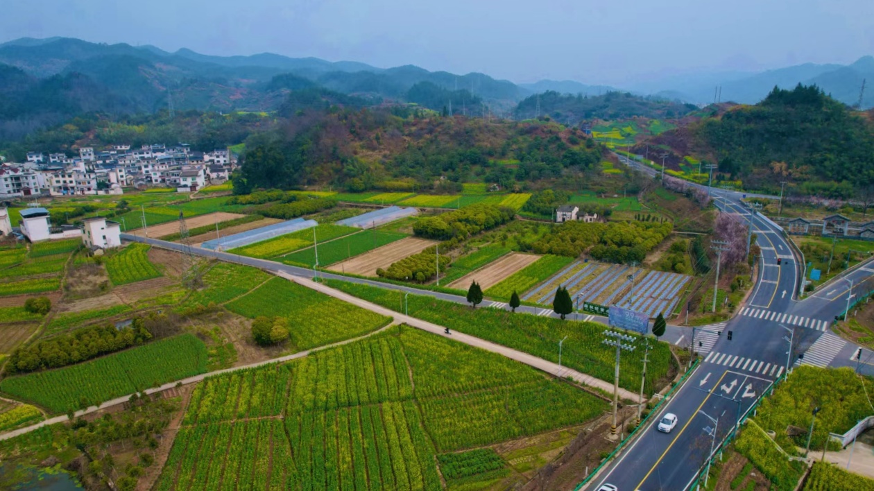 激活新质动能助力振興提速  皖歙縣精心擦亮公路形象