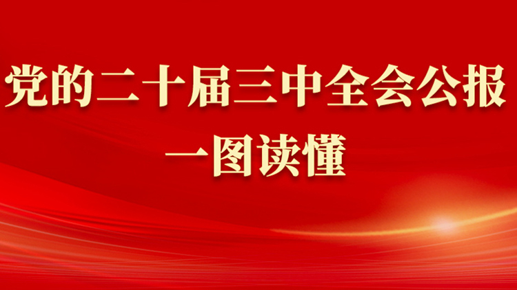 黨的二十屆三中全會公報一圖讀懂