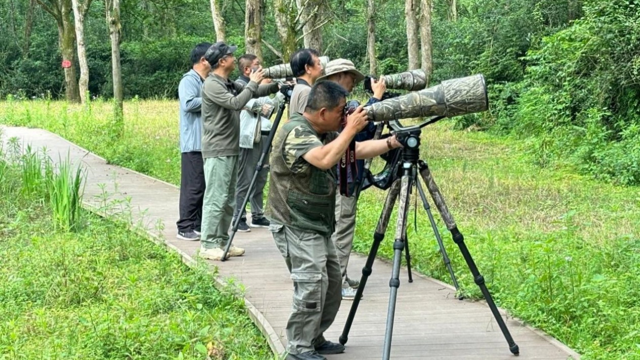 皖屯溪黎陽鎮：創新「生態＋攝影」  提升產業驅動力