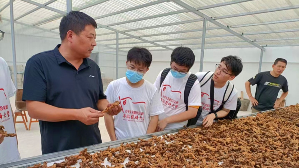 皖祁門縣打造「皖南中醫藥文化宣教基地」