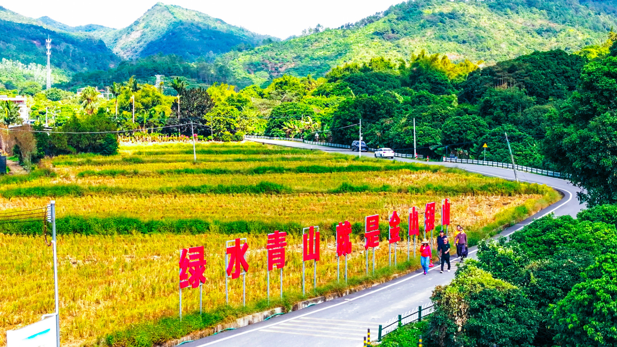 農村公路總里程達1521公里 惠州惠陽區鋪築鄉村振興幸福路