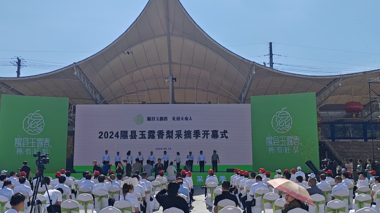 山西隰縣：2024玉露香梨採摘季活動啟幕