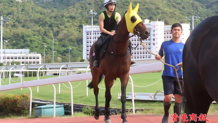 有片 | 黃寶妮操馬保持儀態 周日田戰廣受歡迎共策7駒