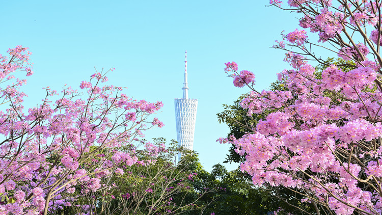 廣州最新城市空間規劃出爐 建設「中心型世界城市」