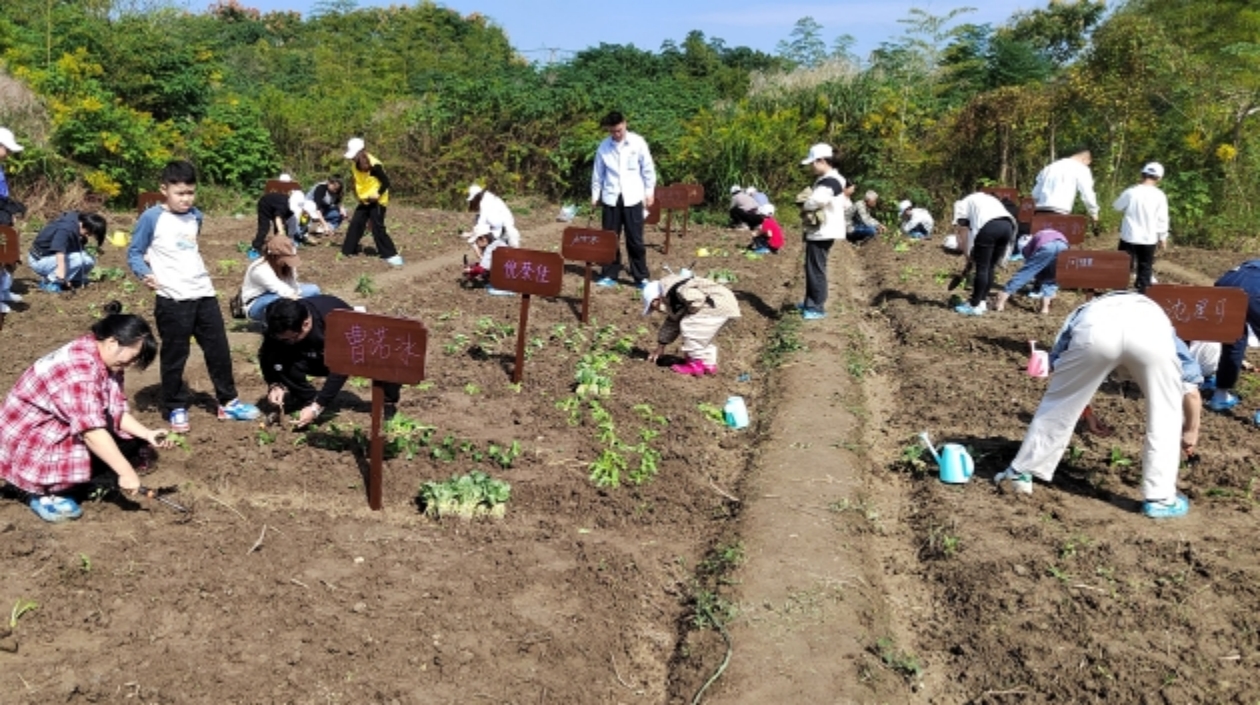 浙江吳興：共富農場架起青少年助人自助橋樑