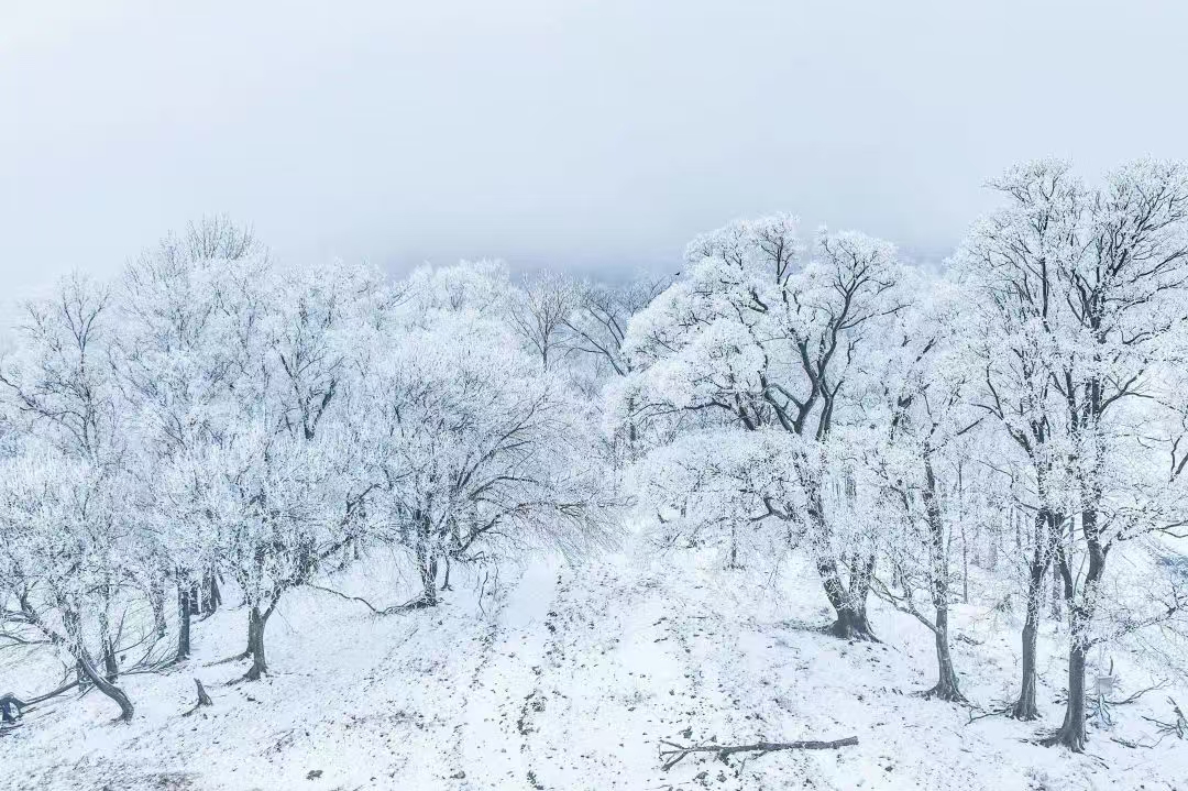 吉林北大湖滑雪度假區迎來今冬第一場雪