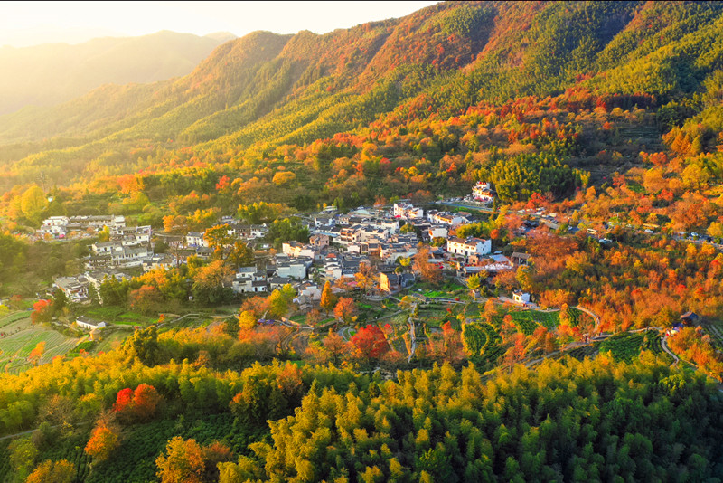 皖黟縣宏村鎮：旅居塔川 沉浸醉美秋色