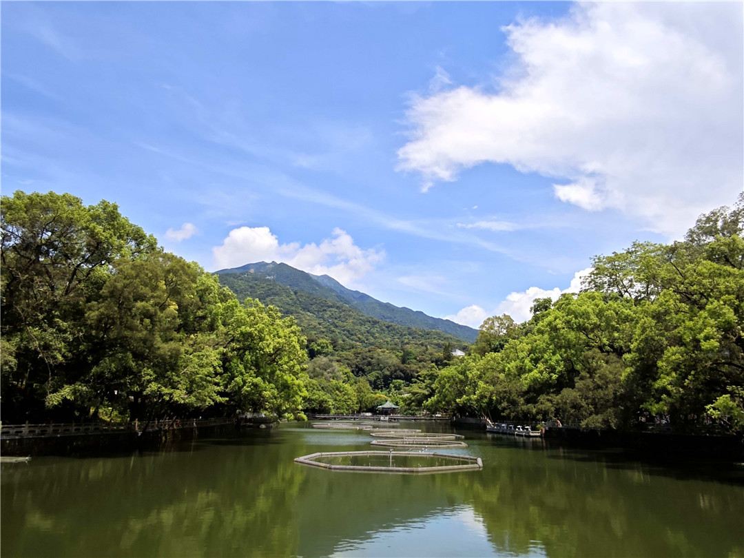 號外！羅浮山景區「文旅+非遺」，入選風景名勝區文旅融合典型案例