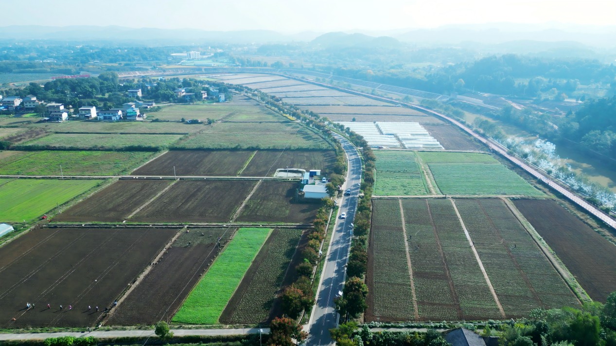 立足高質量定位 2024四川綿陽遊仙農業發展再創佳績